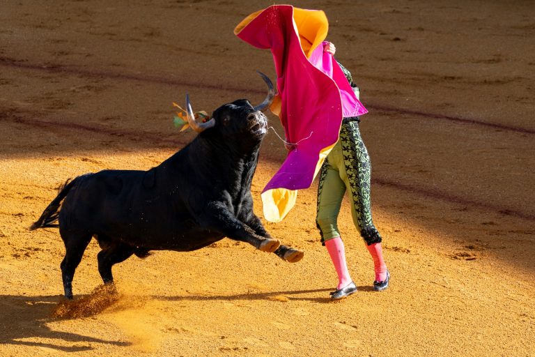 ¿Cuánto gana un torero en España? Factores que determinan su salario