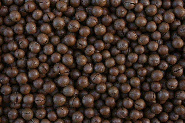 Nueces de macadamia: un superalimento con múltiples beneficios para el cuerpo y la piel